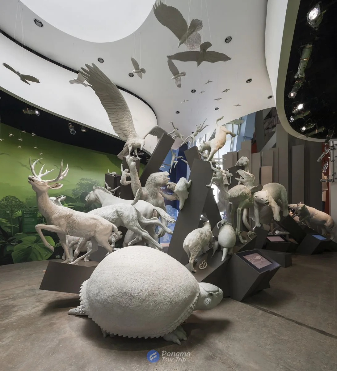 Biomuseo