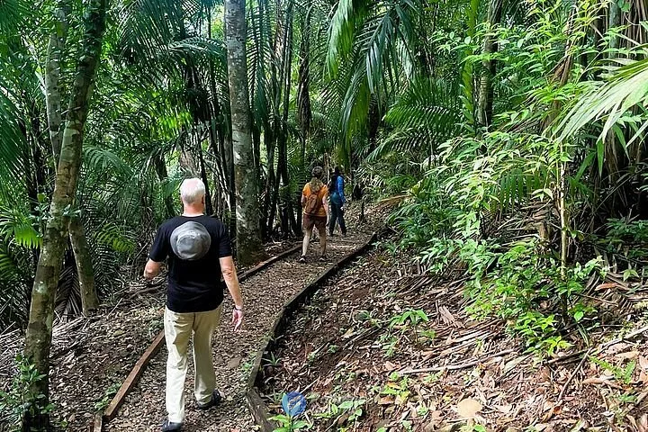Parque Natural Metropolitano