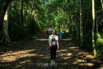 Parque Natural Metropolitano