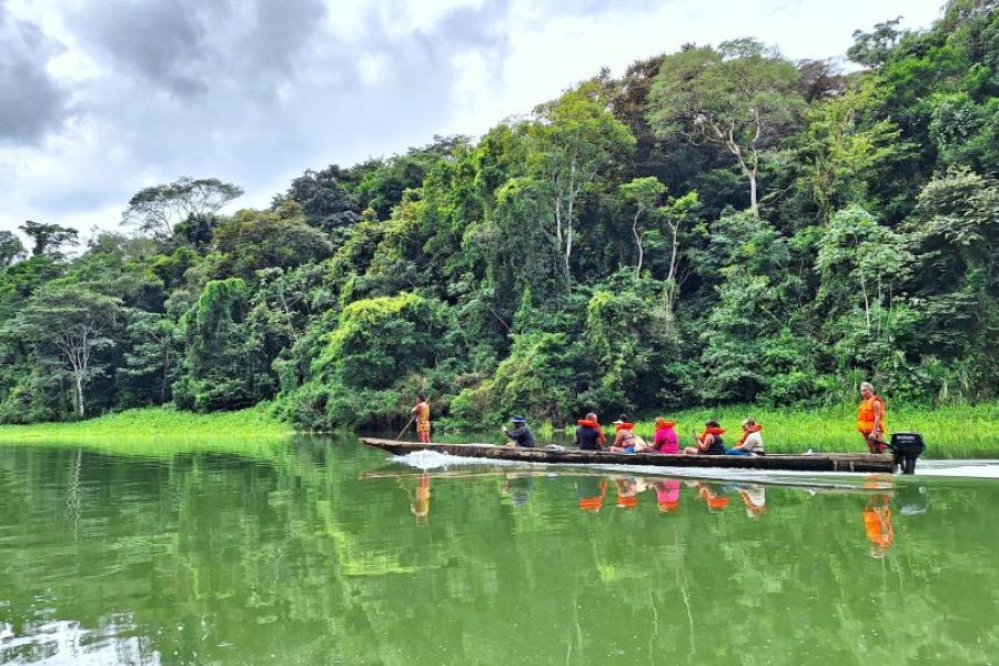 Desde Ciudad de Panamá: Descubre la Selva de Chagres y el Pueblo Embera