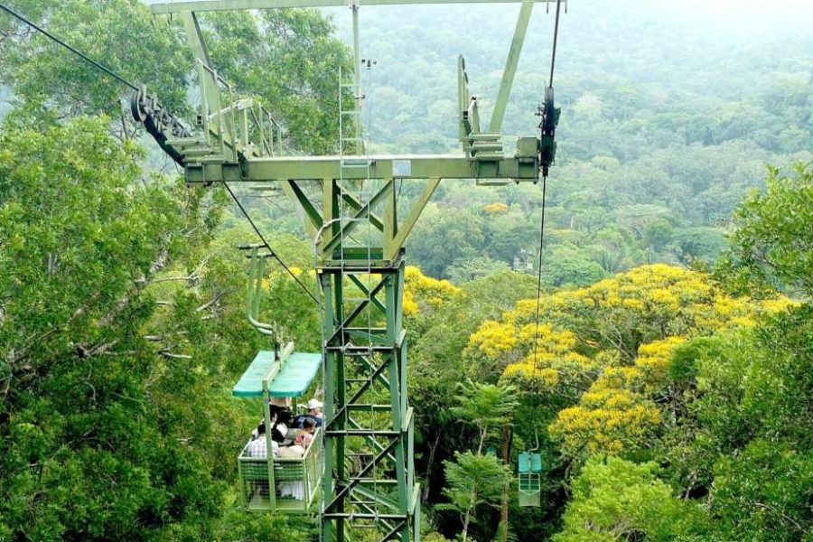 Aventura en Gamboa: Tour Guiado desde Ciudad de Panamá con Almuerzo