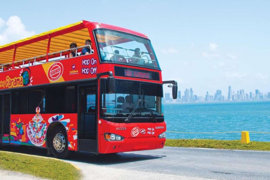 Excursión en Bus Turístico con Paradas Libres