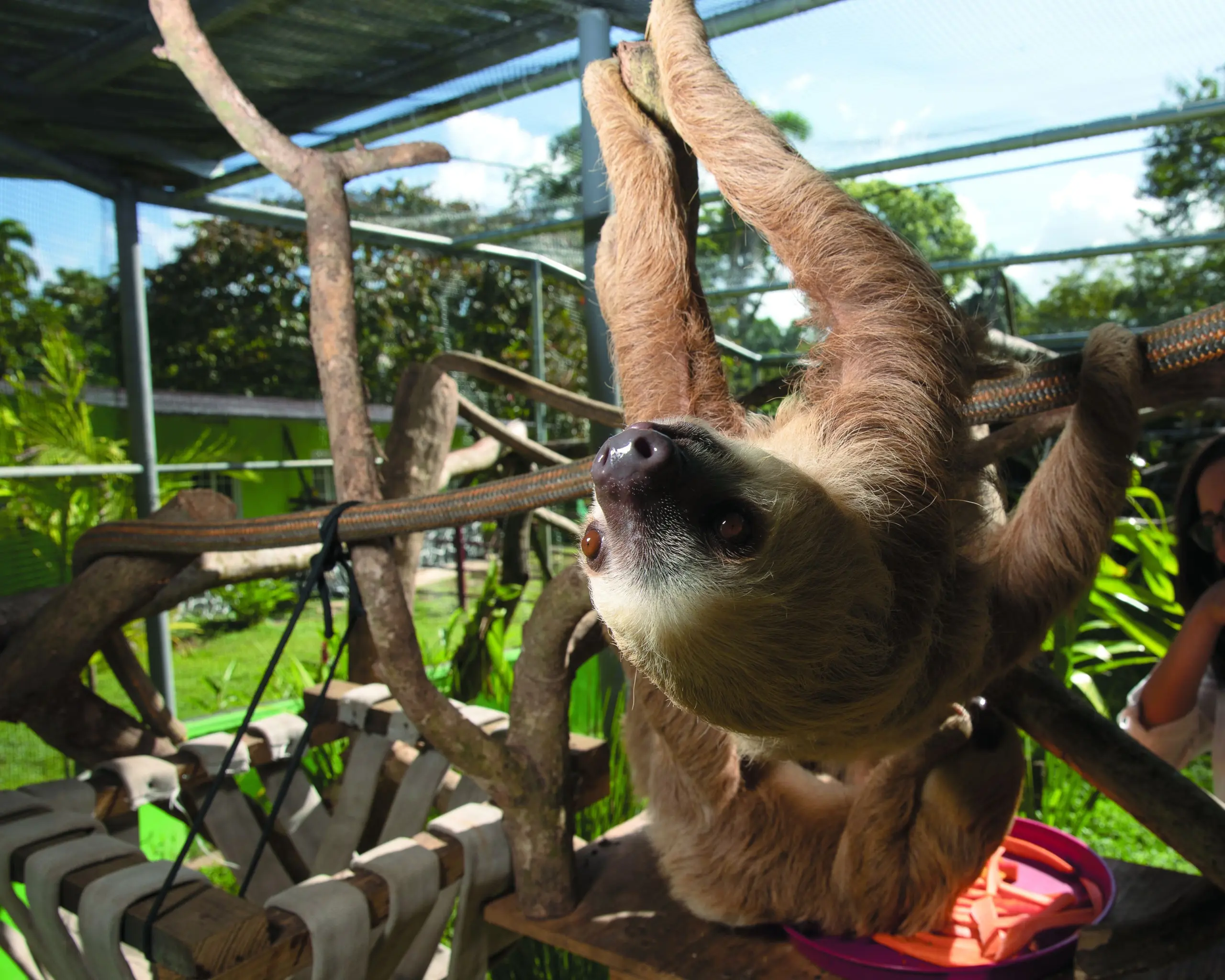 7TZRD7F2KNAFFNYJSBKZNSWUZA